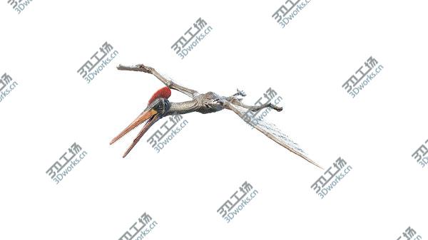 images/goods_img/20210312/3D model Pterodactyl/2.jpg